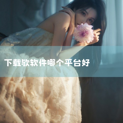 在众多软件下载平台中，选择一个好的可以大大提升我们的下载体验。以下是一些备受推荐的平台:1. 迅雷: 作为最流行的下载工具，迅雷以其庞大的用户群和丰富的资源库闻名。它的高速下载功能、离线下载以及边下载|