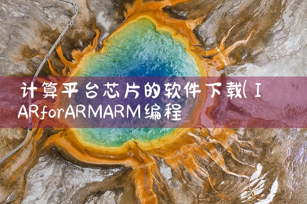 计算平台芯片的软件下载