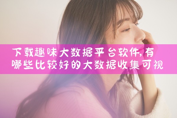 下载趣味大数据平台软件