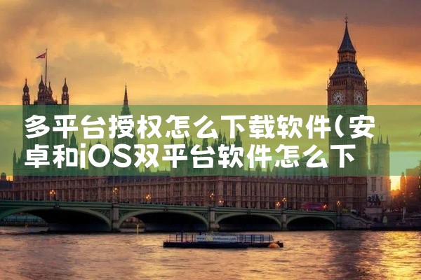多平台授权怎么下载软件