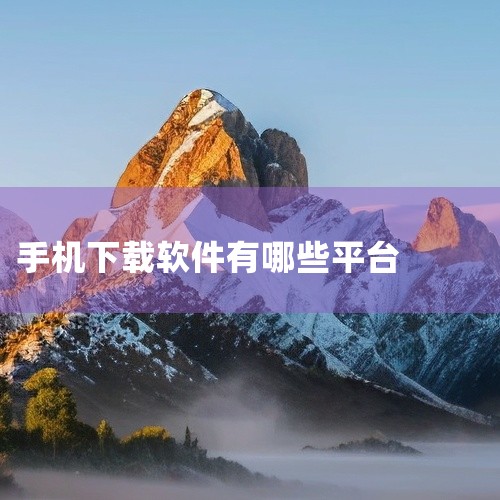 常见的软件下载商城平台有应用宝、华为应用市场、百度手机助手、oppo软件商店、小米应用商店、vivo应用商店、360手机助手、豌豆荚、魅族应用商店、酷安应用商店，此外还有应用乐园、闪玩等也被部分用户推|