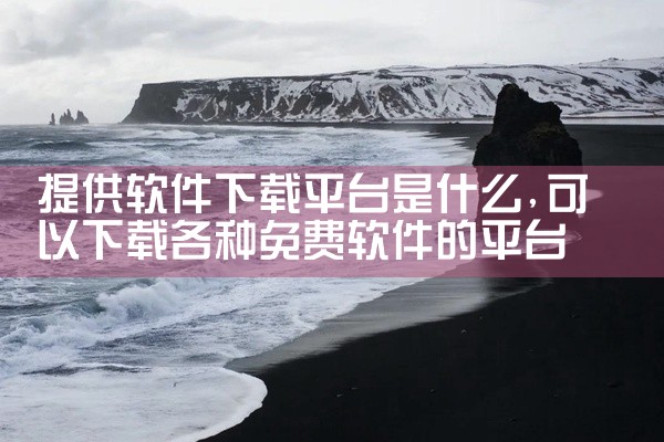 提供软件下载平台是什么