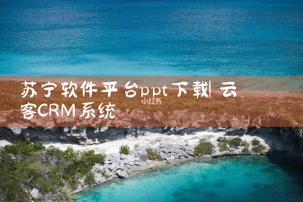 苏宁软件平台ppt下载