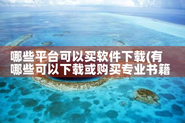 哪些平台可以买软件下载