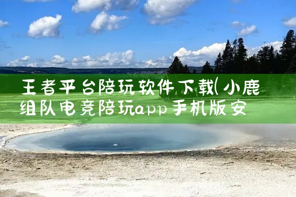 王者平台陪玩软件下载