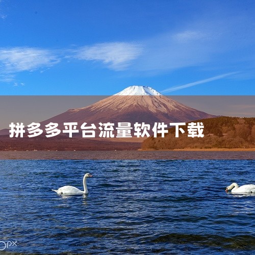 开流量下载拼多多耗流量吗(开流量下载拼多多会消耗流量吗),如何关闭流量下载拼多多(关闭流量下载拼多多方法),免费拼多多流量精灵(如何使用免费拼多多流量精灵获取流,