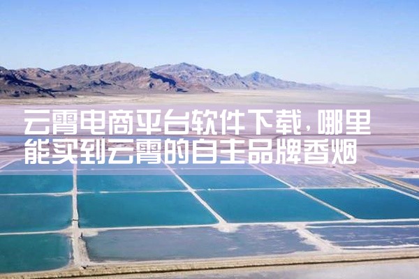 云霄电商平台软件下载