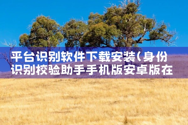 平台识别软件下载安装